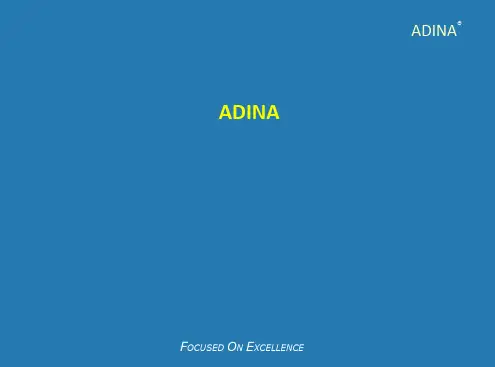 ADINA教案