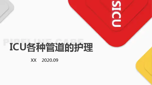ICU各种管道护理