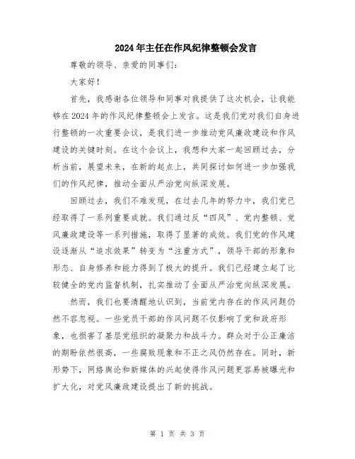 2024年主任在作风纪律整顿会发言
