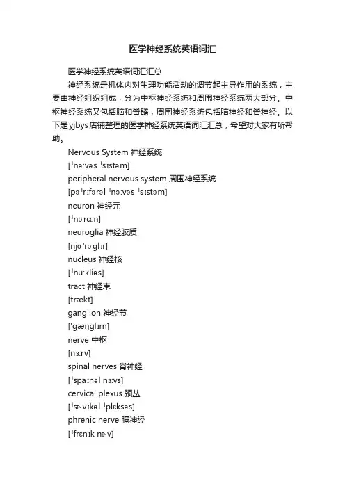 医学神经系统英语词汇