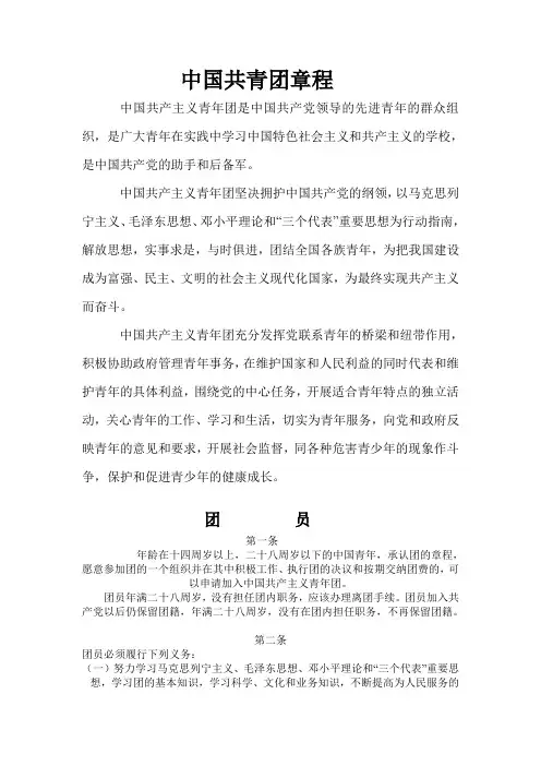 中国共青团章程