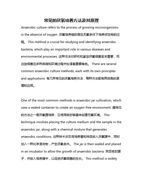 常见的厌氧培养方法及其原理