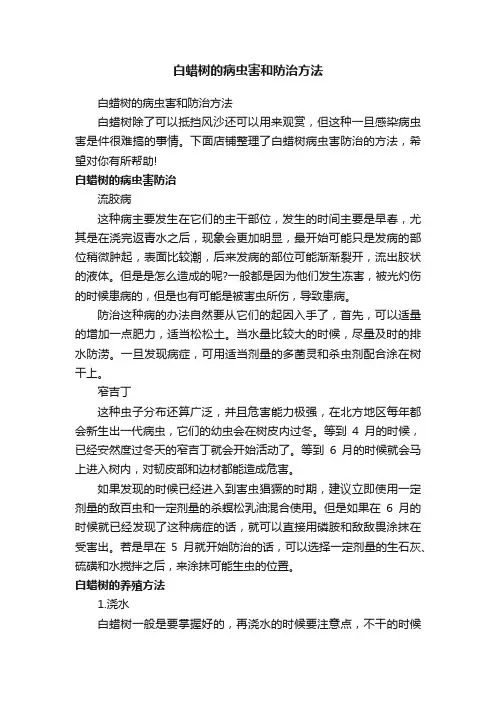 白蜡树的病虫害和防治方法