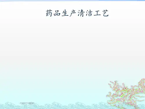 清洁验证培训PPT课件