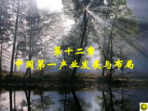 中国第一产业发展与布局精讲