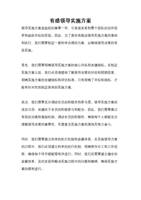 有感领导实施方案