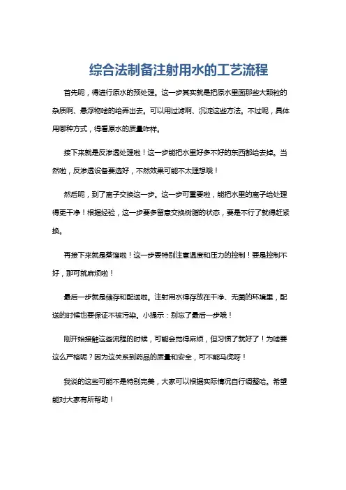 综合法制备注射用水的工艺流程
