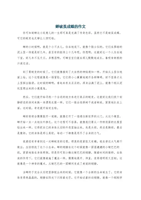 蝉破茧成蝶的作文