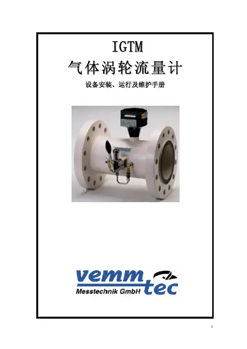 德闻流量计IGTM用户手册