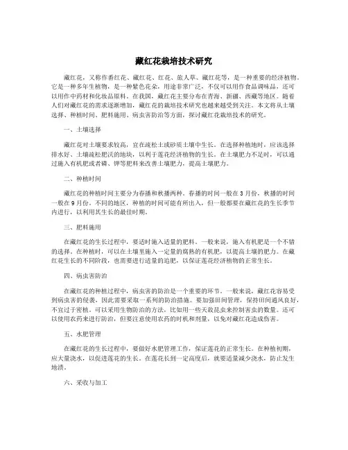 藏红花栽培技术研究