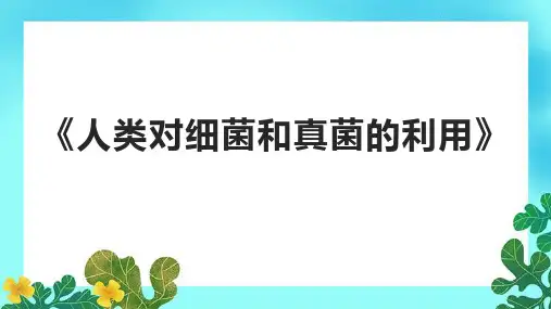 《人类对细菌和真菌的利用》课件