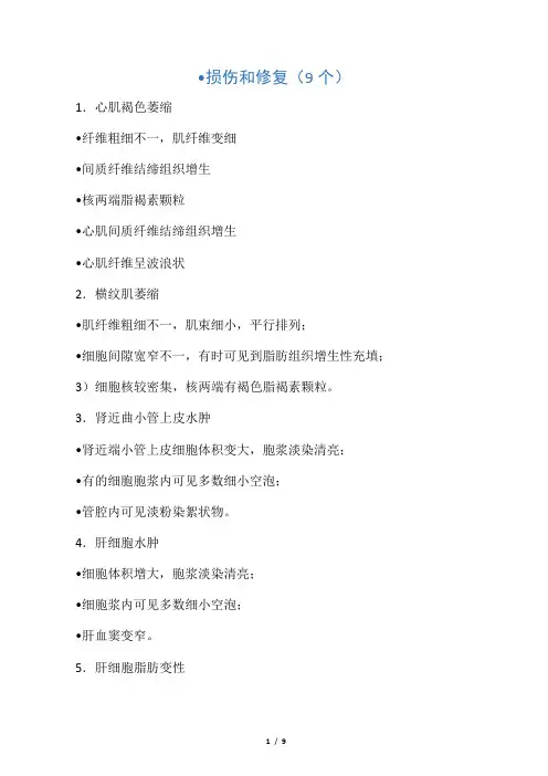 _镜下病理切片 