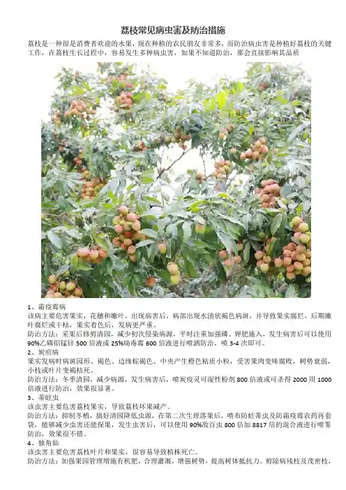 荔枝常见病虫害及防治措施