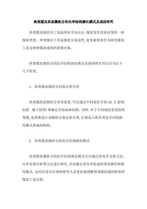 热变煤及其显微组分的化学结构演化模式及成因研究