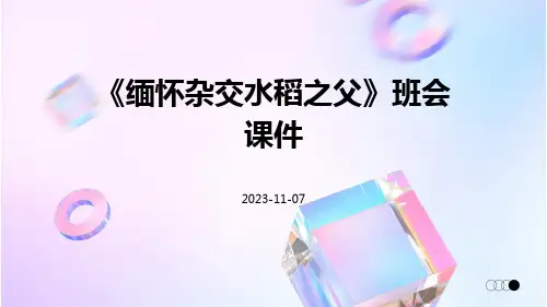 《缅怀杂交水稻之父》班会课件