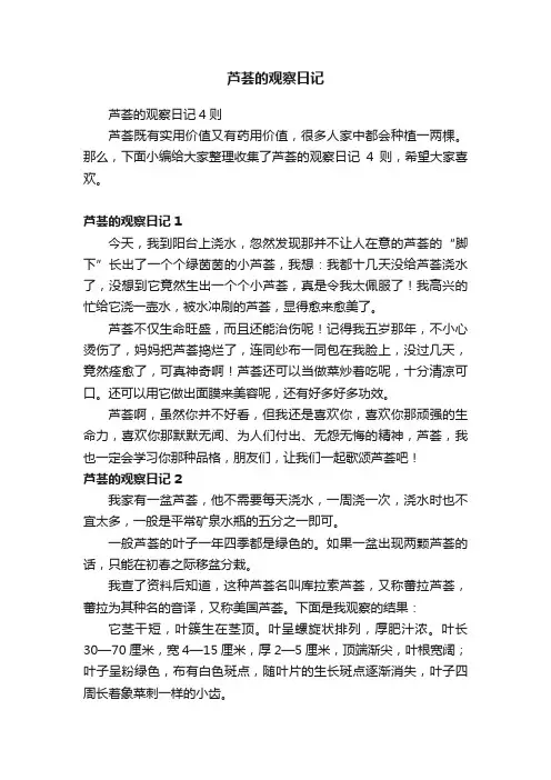 芦荟的观察日记
