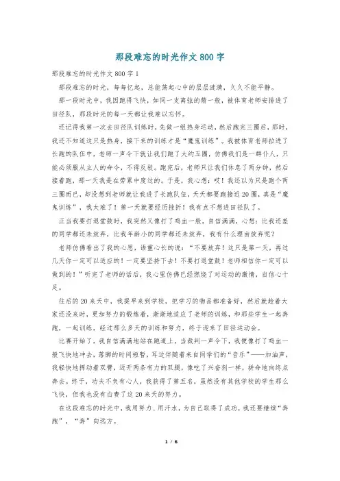 那段难忘的时光作文800字