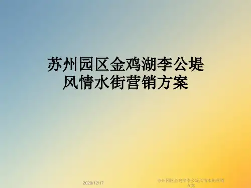 苏州园区金鸡湖李公堤风情水街营销方案