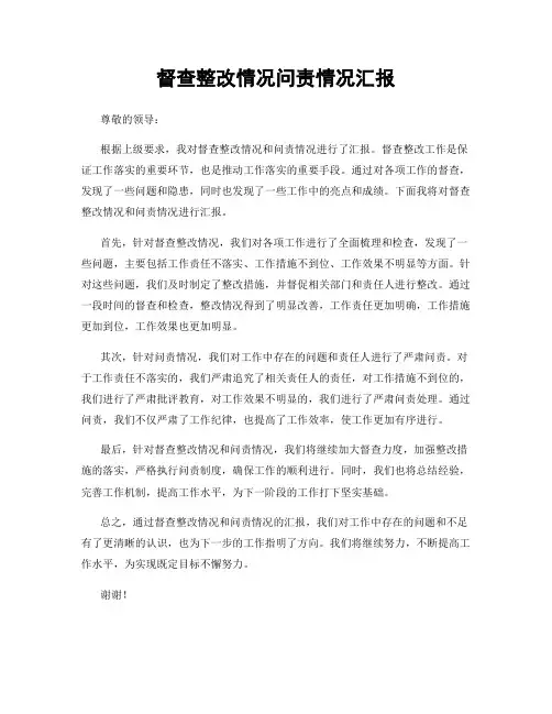 督查整改情况问责情况汇报