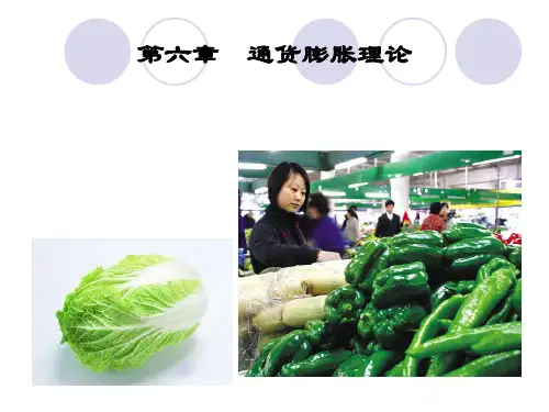 宏观经济学-第七章-通货膨胀