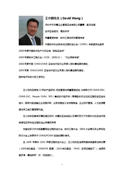 中天华夏咨询顾问介绍_王小刚(David_wang)