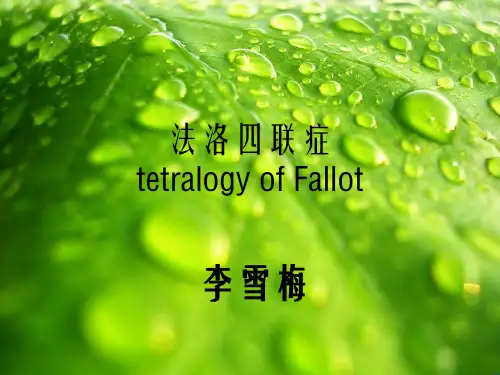《法洛四联症》PPT幻灯片PPT