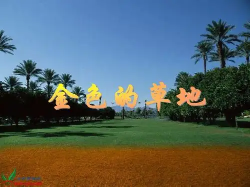 2、《金色的草地》