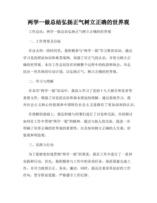 两学一做总结弘扬正气树立正确的世界观