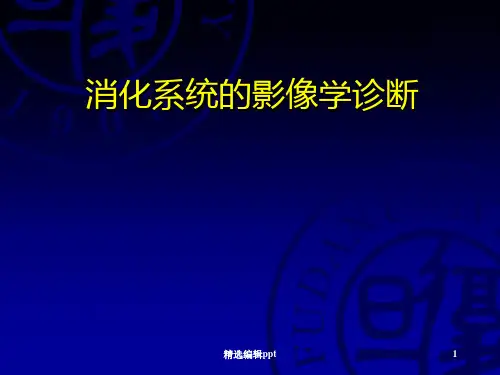 消化系统-医学影像学ppt课件