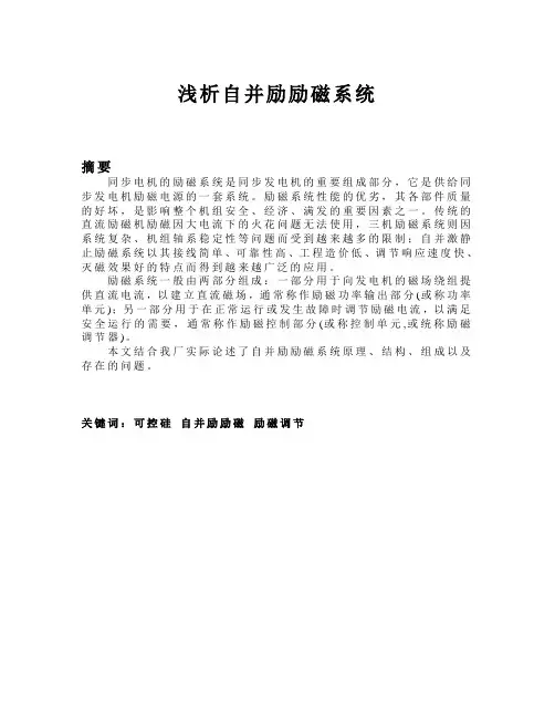 浅析自并励励磁系2