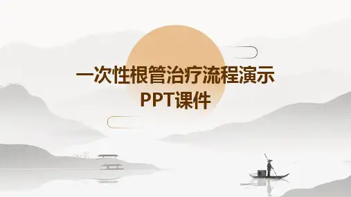 一次性根管治疗流程演示PPT课件