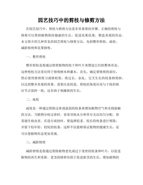 园艺技巧中的剪枝与修剪方法