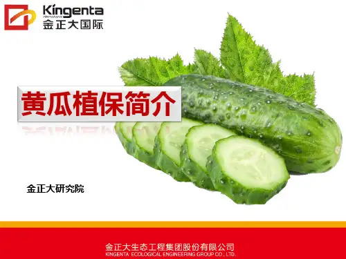 黄瓜植保简介