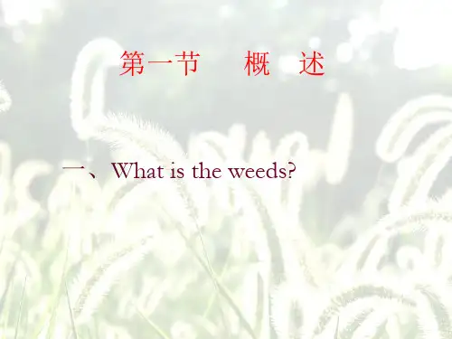 除草剂分类和使用方法PPT课件.ppt