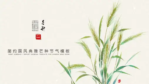 绿色麦穗背景的芒种节气PPT模板
