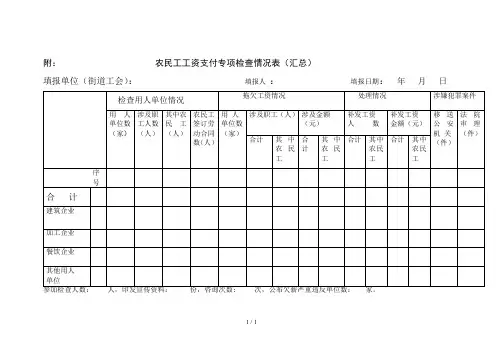 附3农民工工资支付专项检查情况表(汇总)