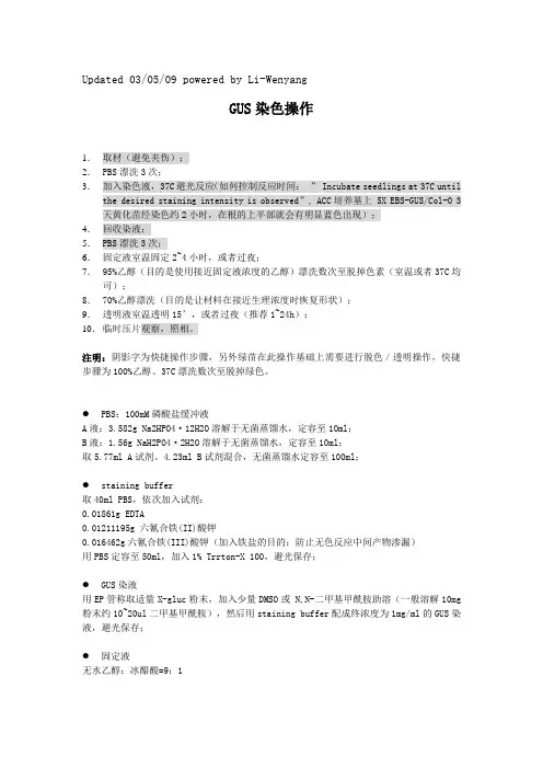 GUS染色操作