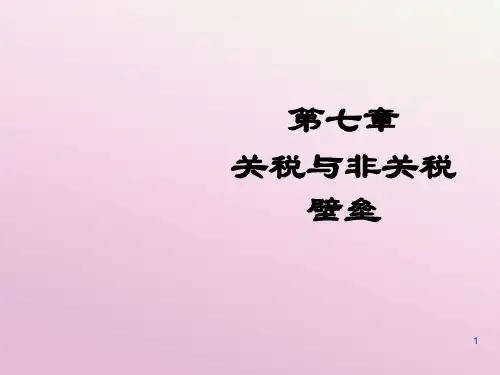关税和非关税壁垒附详细分解图和练习题的李坤望版