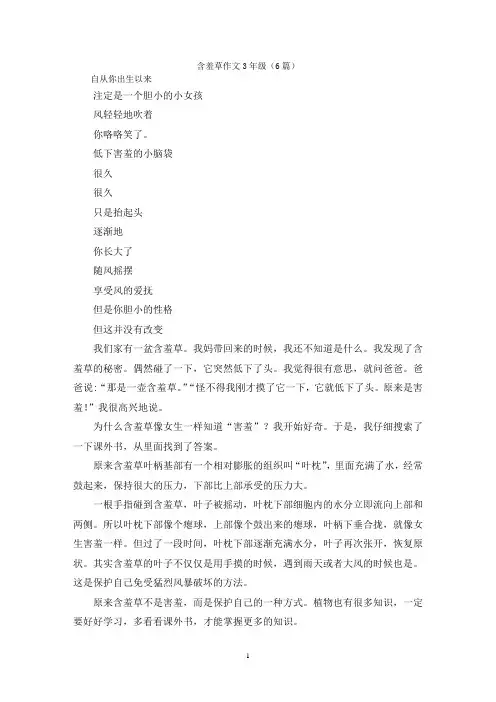 含羞草作文3年级(6篇)