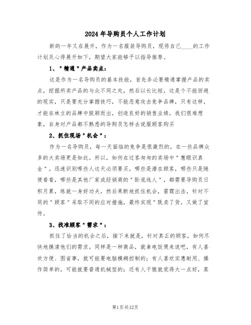 2024年导购员个人工作计划（五篇）