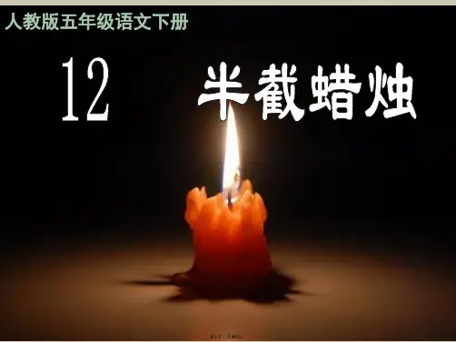 12《半截蜡烛》完美PPT课件