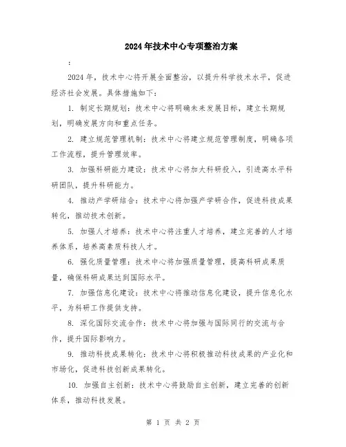 2024年技术中心专项整治方案