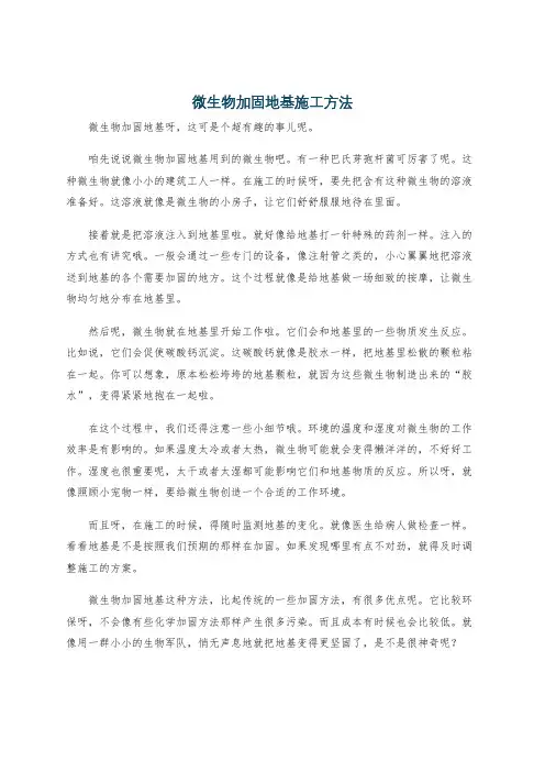 微生物加固地基施工方法
