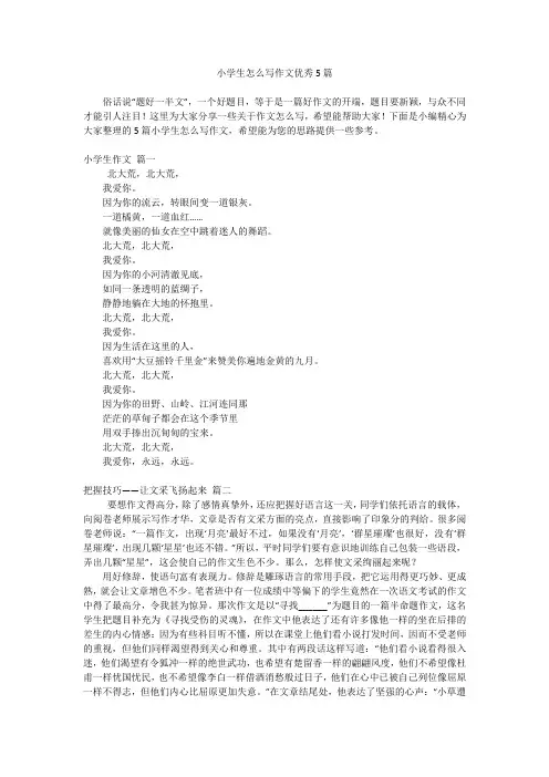 小学生怎么写作文优秀5篇