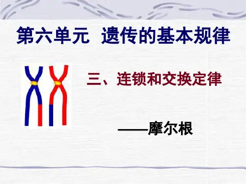 连锁互换规律新改 (2)