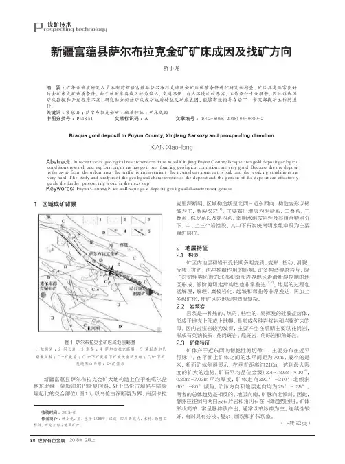 新疆富蕴县萨尔布拉克金矿矿床成因及找矿方向