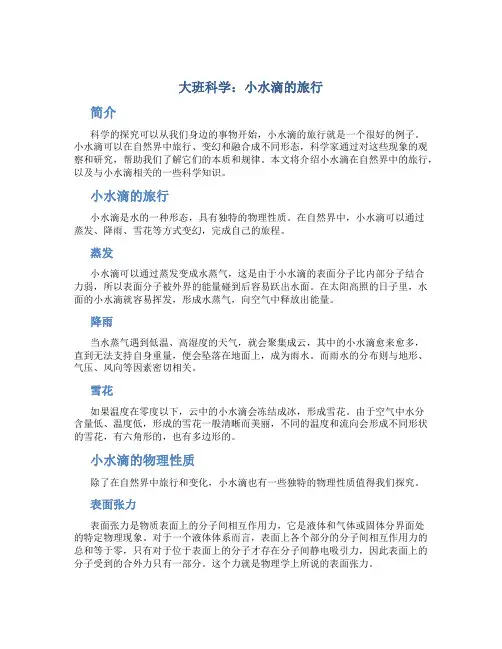 大班科学：小水滴的旅行