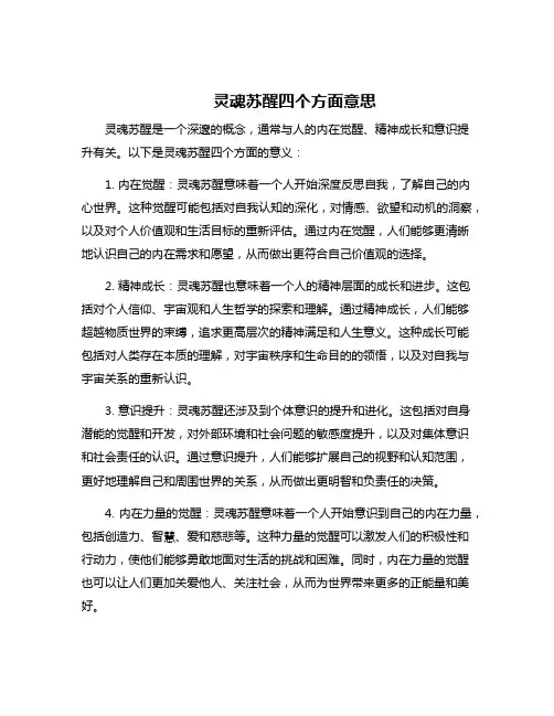 灵魂苏醒四个方面意思