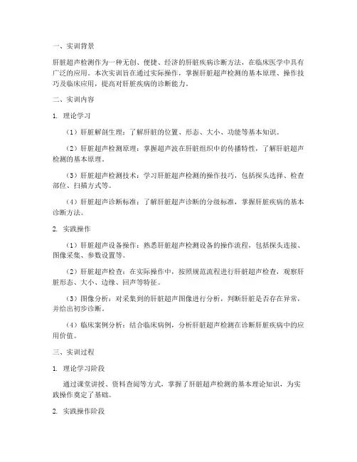 肝脏超声检测实训总结报告