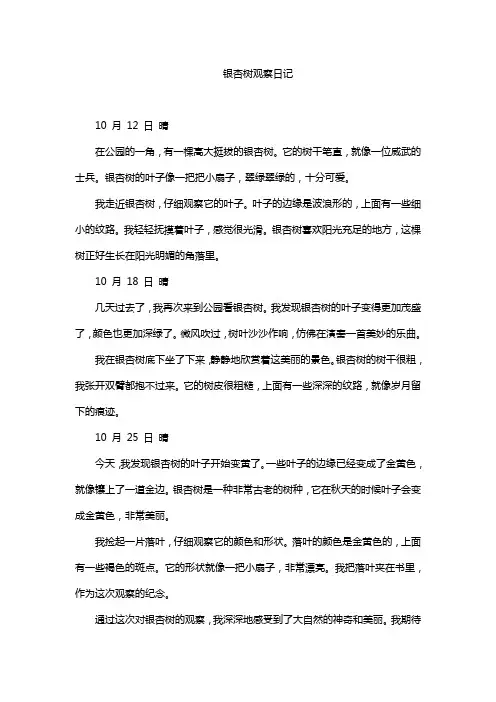 银杏树观察日记